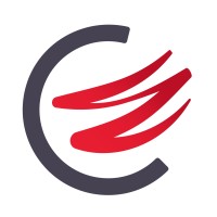 RICCA IT logo